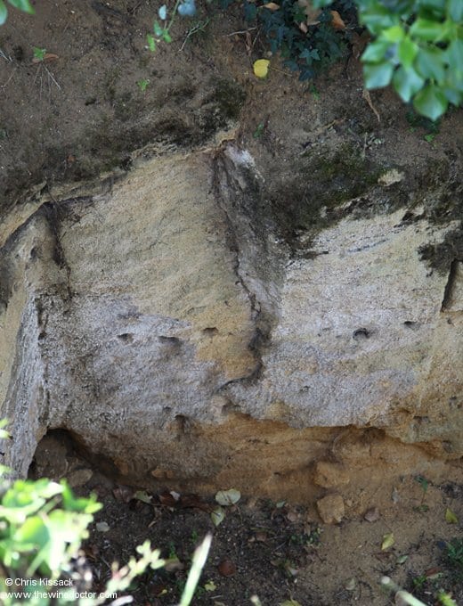 Loire Wine Guide: Limestone and Flint