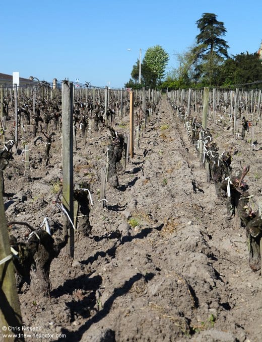 Château Prieuré-Lichine