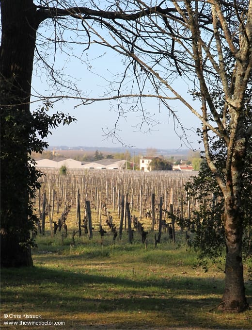 Château Grand Barrail Lamarzelle Figeac