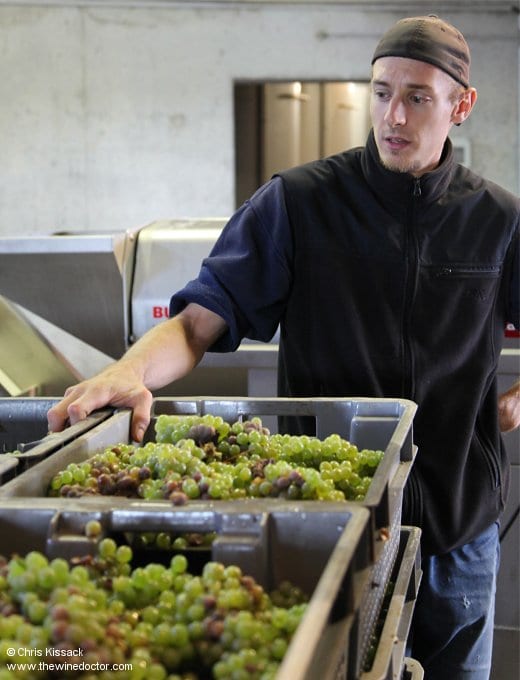 Sébastien Redde, Domaine Michel Redde, October 2013 Loire 2013