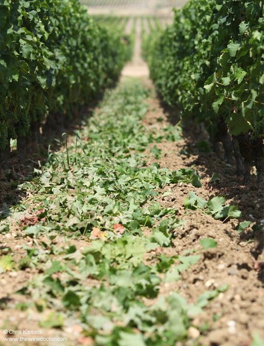 Château Romer du Hayot