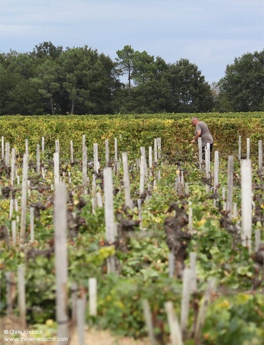 Château Rousseau de Sipian