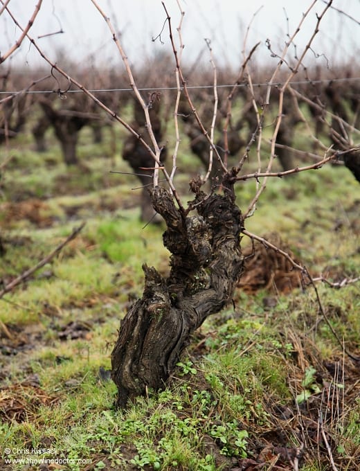 Domaine de la Pépière