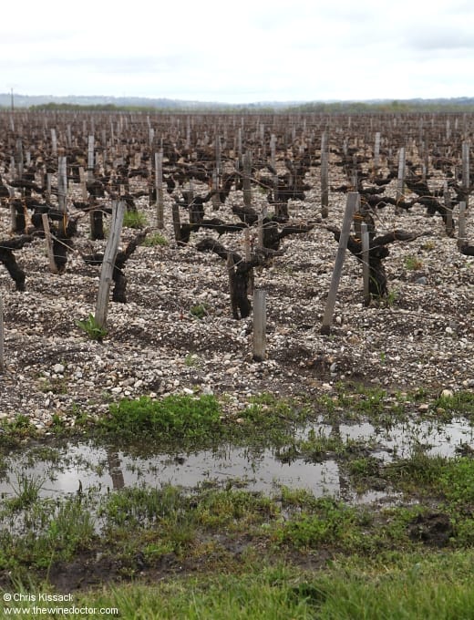Château Labégorce-Zédé