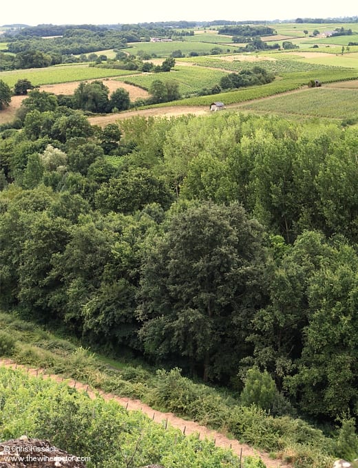 Coteaux du Layon