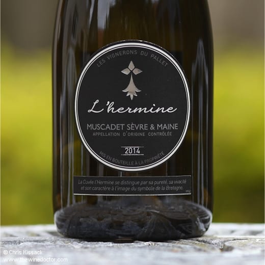 Les Vignerons du Pallet Muscadet Sèvre et Maine L'Hermine 2014 Les Vignerons du Pallet Muscadet Sèvre et Maine L'Hermine 2014