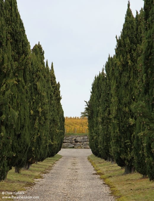 Château de La Dauphine