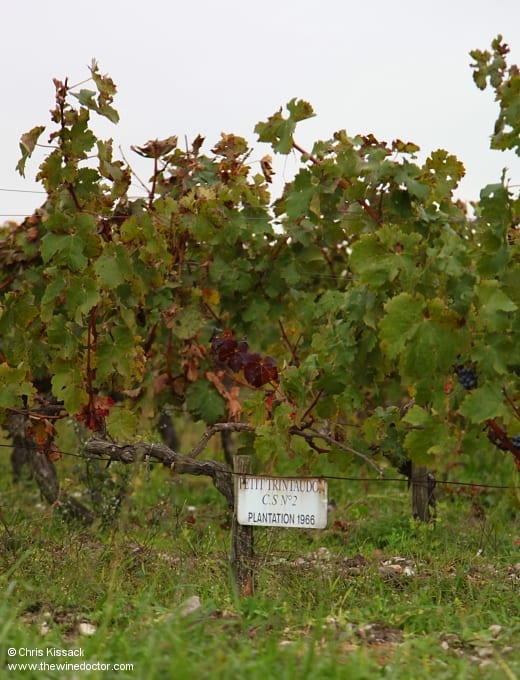 Château Larose-Trintaudon
