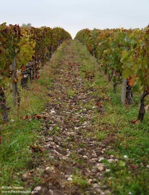 Château Larose-Trintaudon