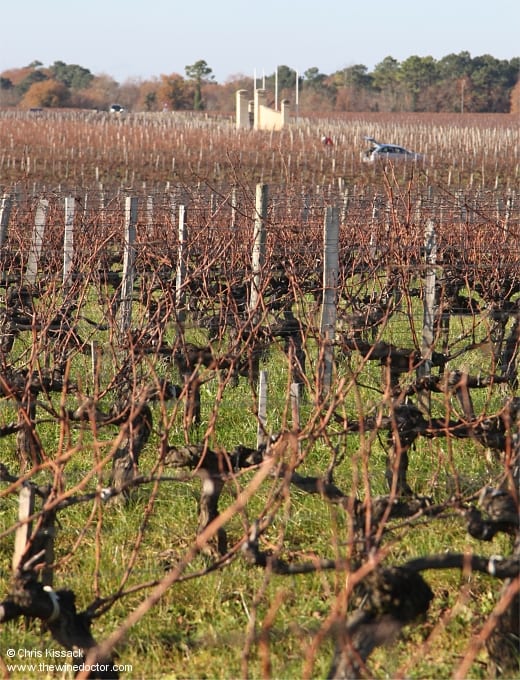 Pruners begin work in the Château Ramage La Batisse vineyards, December 2019 Château Ramage La Batisse