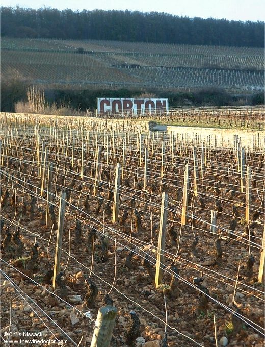 Albert Bichot Albert Bichot