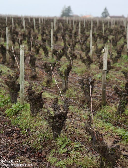 Les Frères Couillaud
