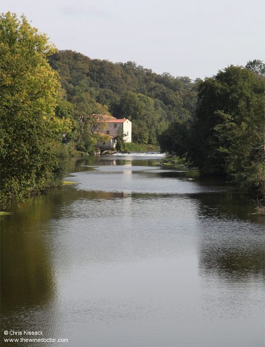 The Muscadet Crus Communaux: Gorges