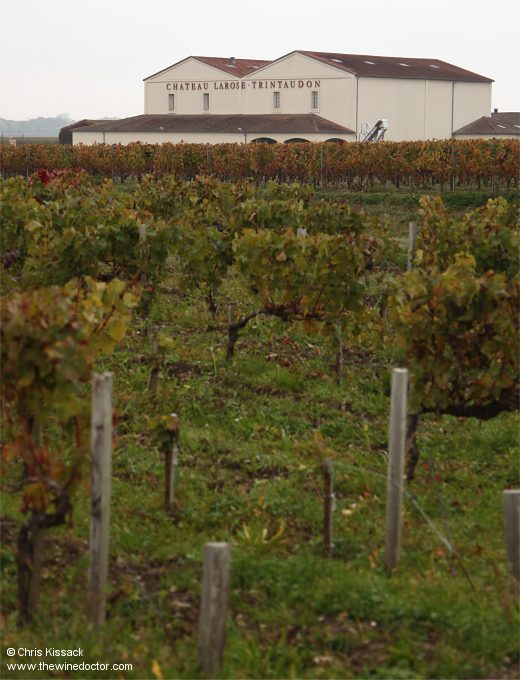 Château Larose Perganson