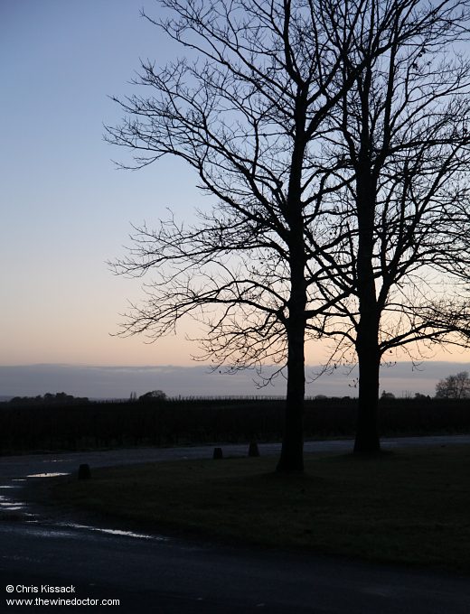 Château La Cardonne