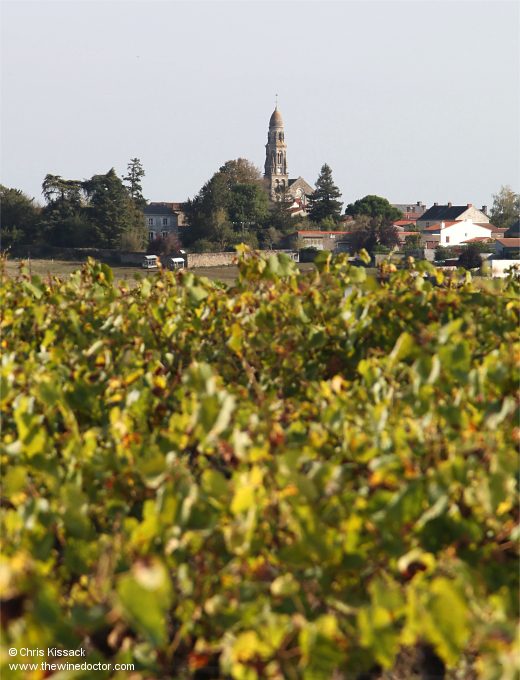 The Muscadet Crus Communaux: Monnières-Saint-Fiacre
