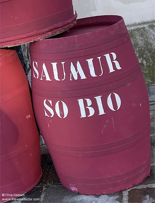Saumur So Bio 2022