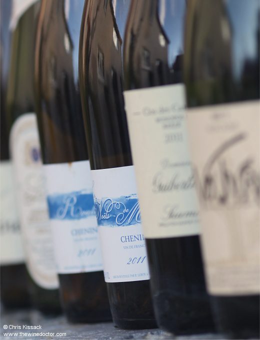 Loire 2011 at Tean Years; François Pinon, Guiberteau, Richard Leroy, Luneau-Papin & more Loire 2011