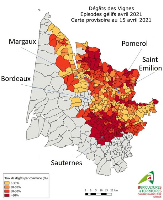 Bordeaux 2021 frost map Bordeaux 2021
