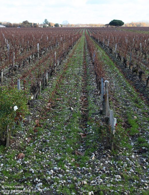 Château Paveil de Luze