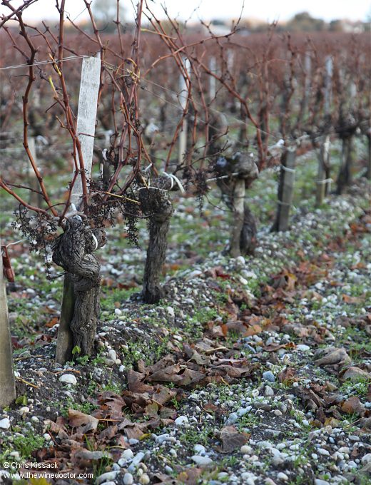 Château Paveil de Luze