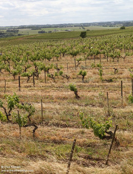 Château de Plaisance