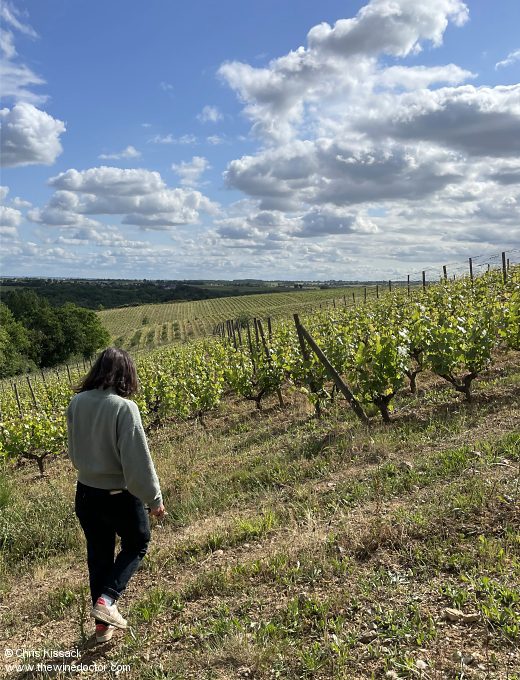 Château de Plaisance