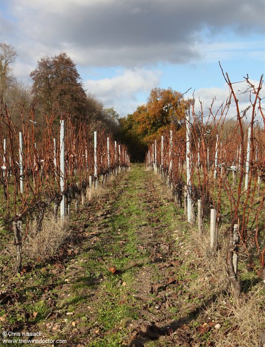 Château de Lamarque