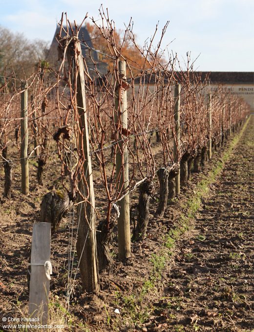 Château Pindefleurs