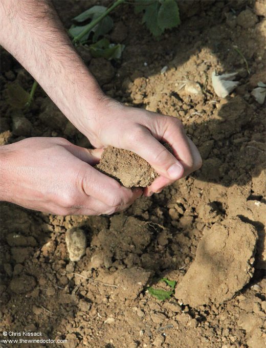 Touraine Geology: Beyond the Turonian