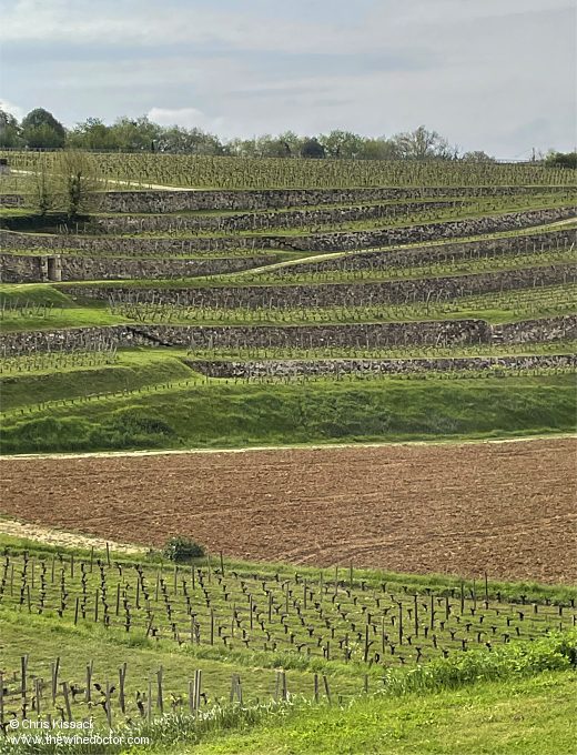 Château Tour Saint Christophe