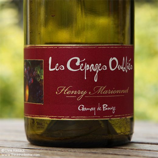 Domaine de la Charmoise Les Cépages Oubliés Gamay de Bouze 2017 Domaine de la Charmoise Les Cépages Oubliés Gamay de Bouze 2017