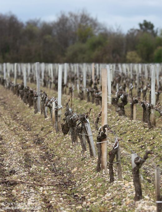 Clos du Marquis vines, pictured 2015 Clos du Marqius