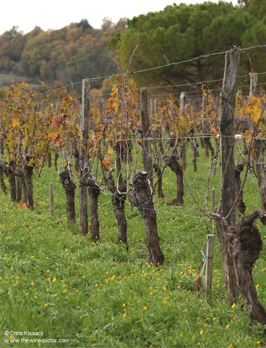 Château La Croizille