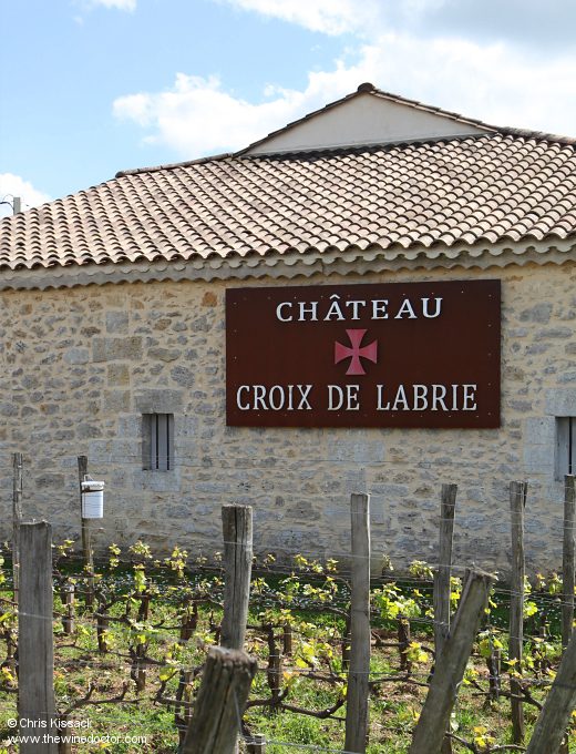 Vines at Château Croix de Labrie, April 2023 St Emilion Grand Cru Classé, 2024