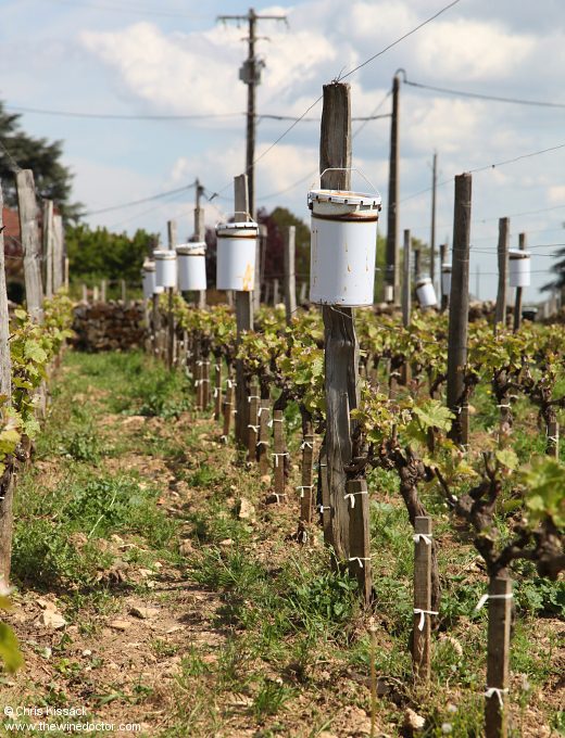 Château Croix de Labrie