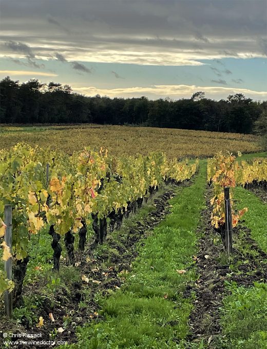 Domaine du Saut au Loup