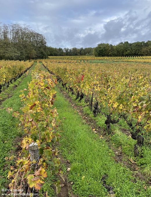 Domaine du Saut au Loup