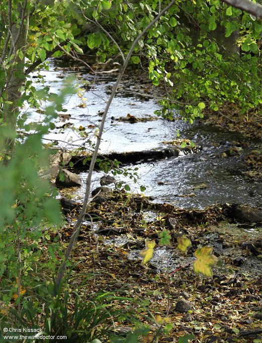Coteaux du Vendômois