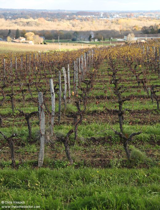 Château Moulin Haut-Laroque