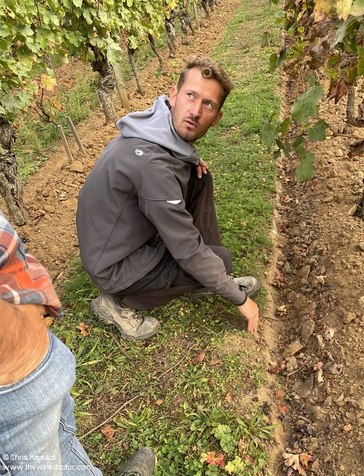 Vineyard manager Guillaume Pijassou in the vines at Domaine de Beauséjour, October 2023 Domaine de Beauséjour