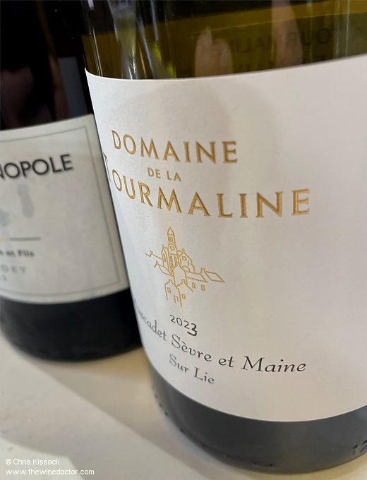 Muscadet Round-Up, 2024