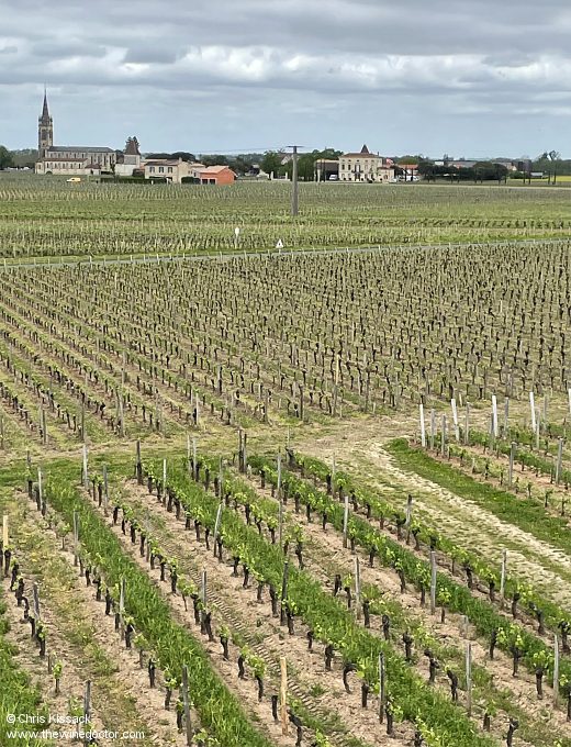 A view over the Pomerol landscape, from the roof of Château Petit Village, April 2024 Bordeaux 2023