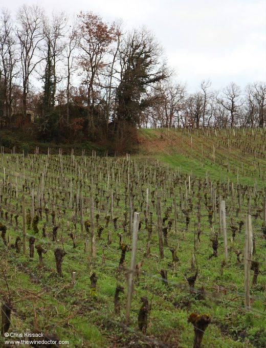 Château Rol Valentin