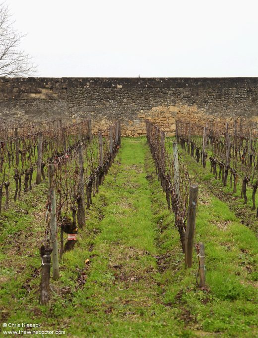 Clos Saint-Julien
