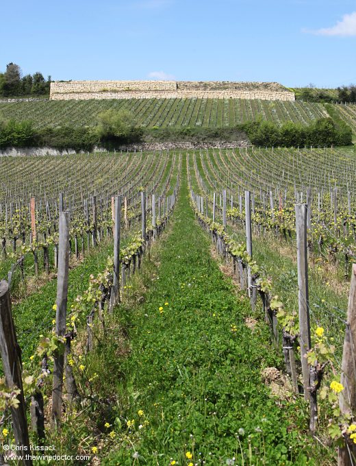 Château Péby Faugères