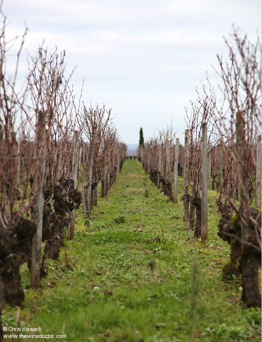 Château Les Trois Croix