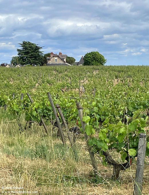 Château de Plaisance