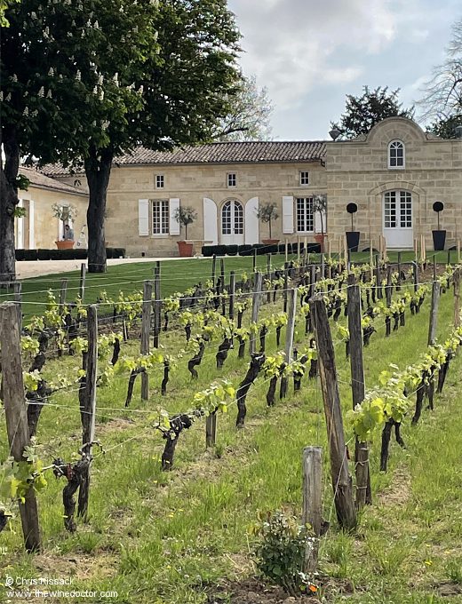 Château Trotte Vieille