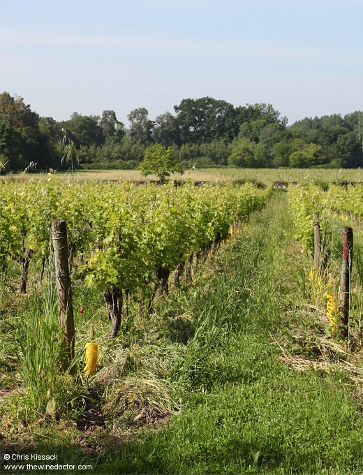 Clos la Niverdière
